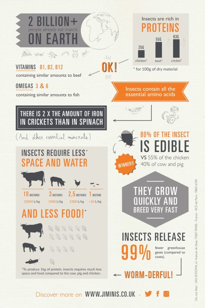 Insects as a sustainable food source