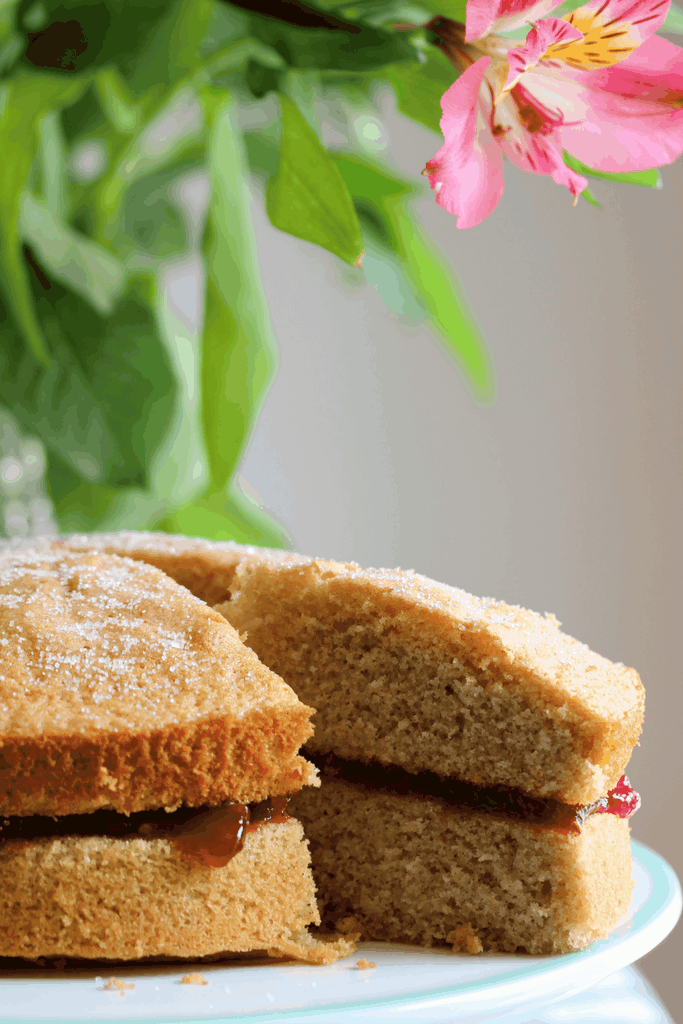 A whole sponge cake shown with a slice partly removed so you can see the inside of the cake. You can see jam in the middle layer. A large plant is out of focus in the background. 