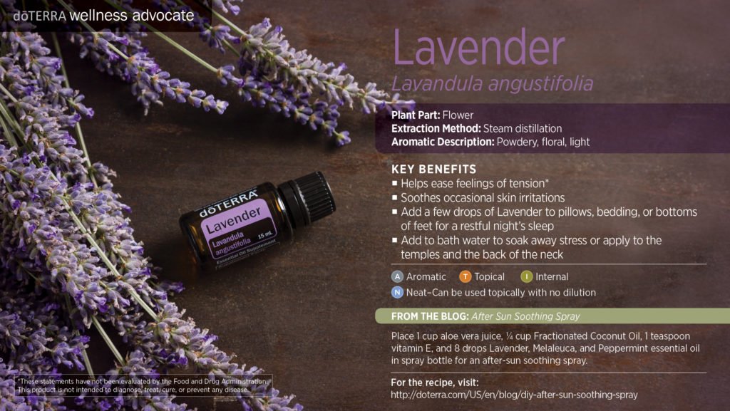 Discover the uses for lavender oil