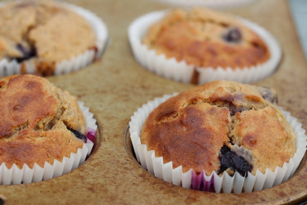 gluten free blueberry muffins. #refinedsugarfree #freefromfairy #wholegrain #glutenfreeflour #glutenfree