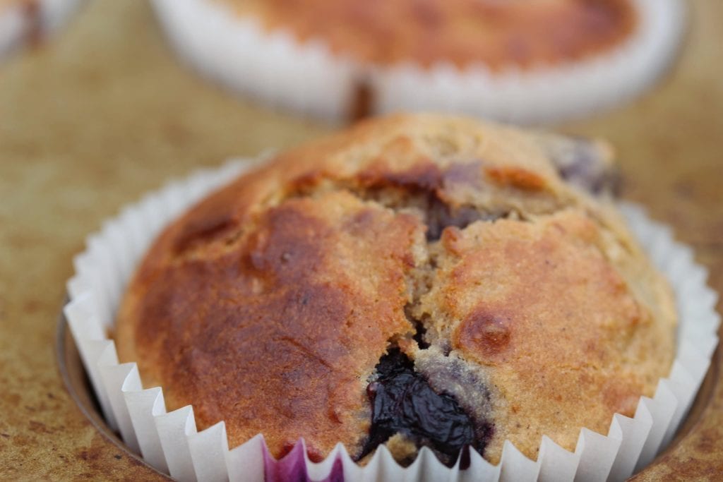 gluten free blueberry muffins