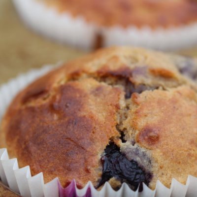 Gluten Free Blueberry Muffins (Low Sugar)