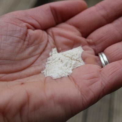 Psyllium: What On Earth Is It? Find Out Here…
