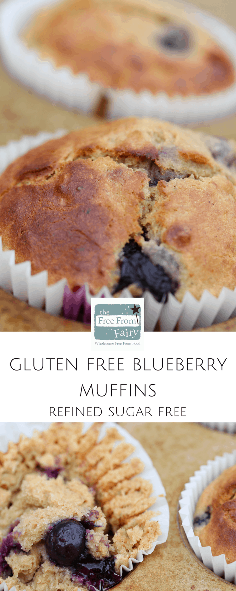 Healthy Blueberry Muffins (Gluten Free, Low Sugar)