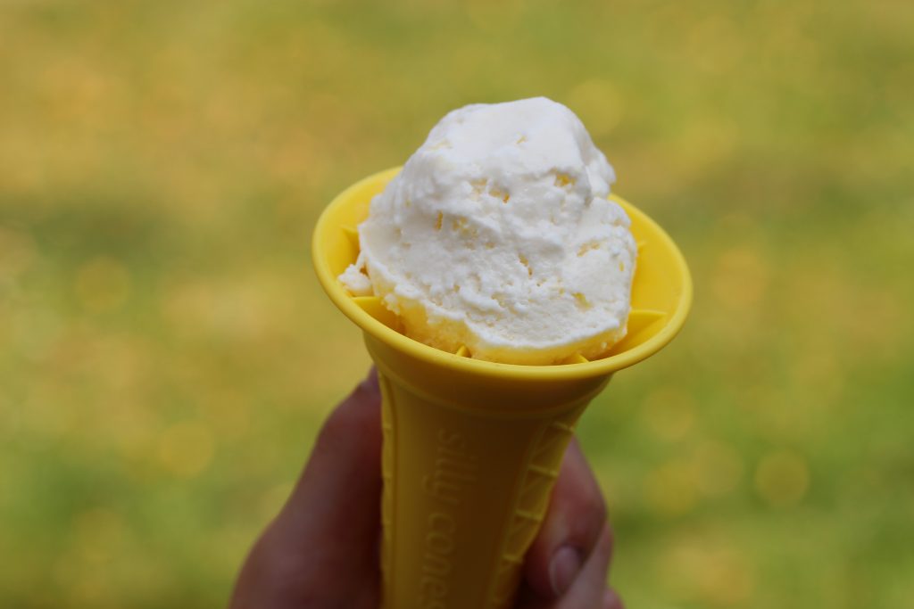 Simple no churn lemon ice cream #icecream #nochurnicecream #simpleicecream #icecreamrecipe #lemonicecream