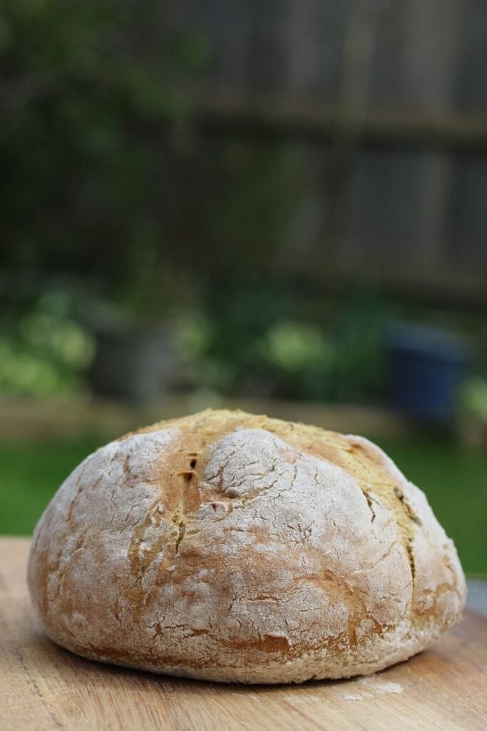 Quick and easy gluten free bread made without yeast. #freefromfairy #easyglutenfreebread #yeastfreeglutenfreebread