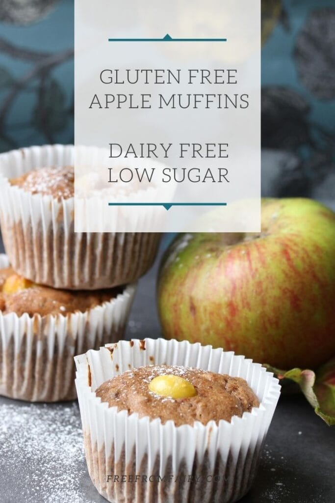 Gluten free apple muffins; a simple moist recipe that is dairy free and low in sugar as well as gluten free.